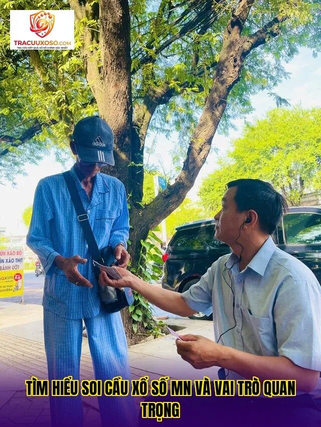 tìm hiểu soi cầu xổ số mn và vai trò quan trọng